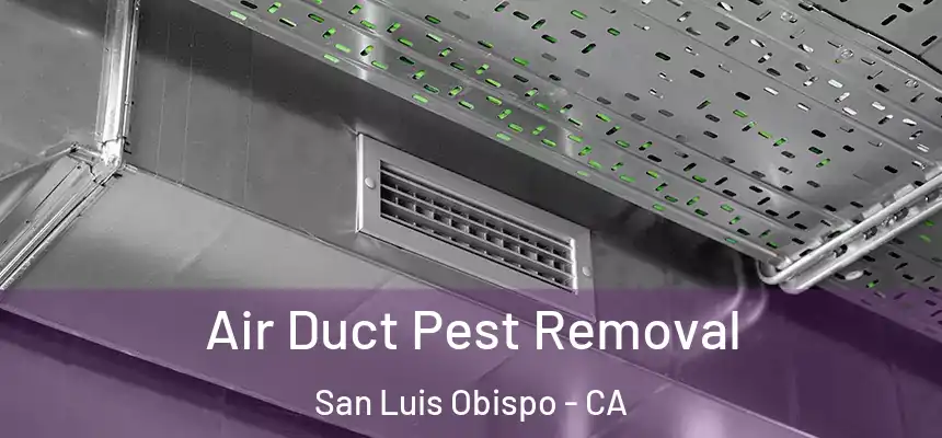 Air Duct Pest Removal San Luis Obispo - CA