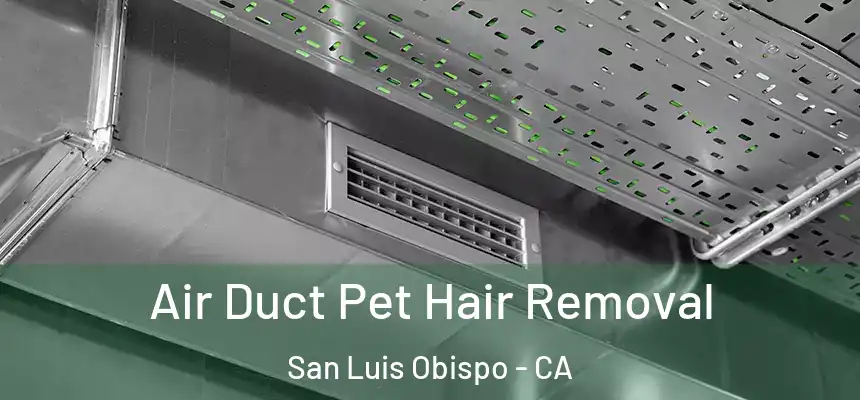 Air Duct Pet Hair Removal San Luis Obispo - CA