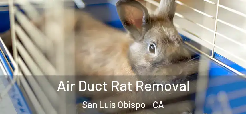 Air Duct Rat Removal San Luis Obispo - CA