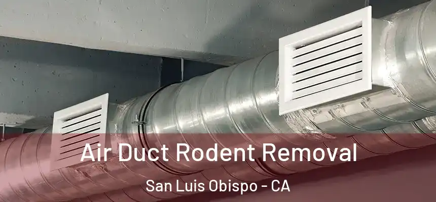  Air Duct Rodent Removal San Luis Obispo - CA