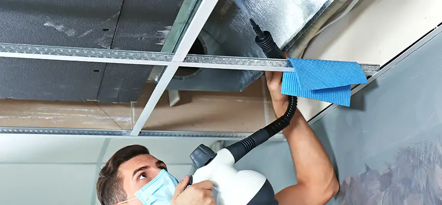 Our Air Duct Rodent Removal Services in San Luis Obispo, CA