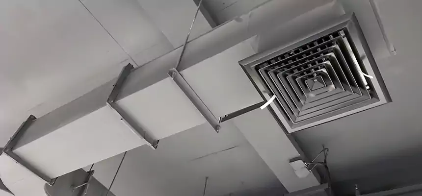 Restorative Allergy Relief Vent Cleaning – Coil, Blower & Housing Detail in San Luis Obispo