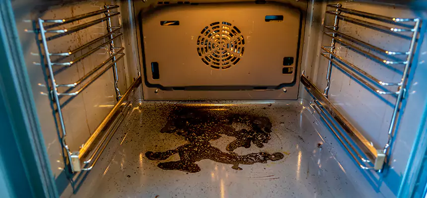 Our Dryer Vent Mold Cleaning Services in San Luis Obispo, CA