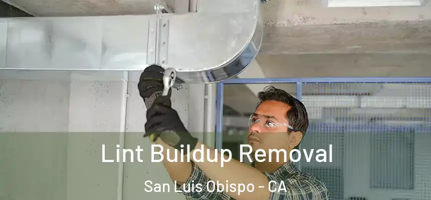  Lint Buildup Removal San Luis Obispo - CA