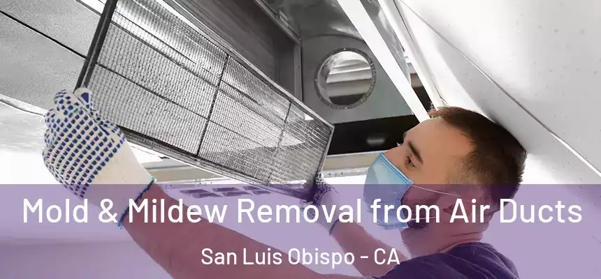  Mold & Mildew Removal from Air Ducts San Luis Obispo - CA