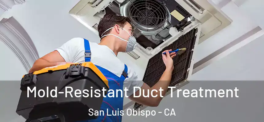 Mold-Resistant Duct Treatment San Luis Obispo - CA