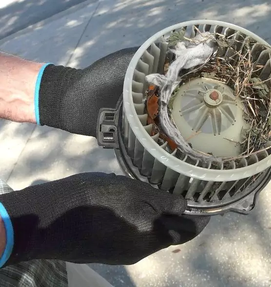 About Air Duct Rat Removal in San Luis Obispo, CA