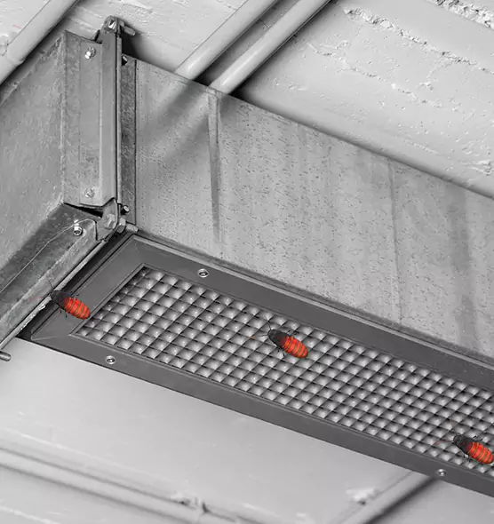 Affordable Insect Removal from Air Ducts in San Luis Obispo, CA