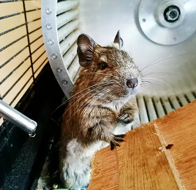 Why Homeowners & Businesses Trust Us San Luis Obispo, CA