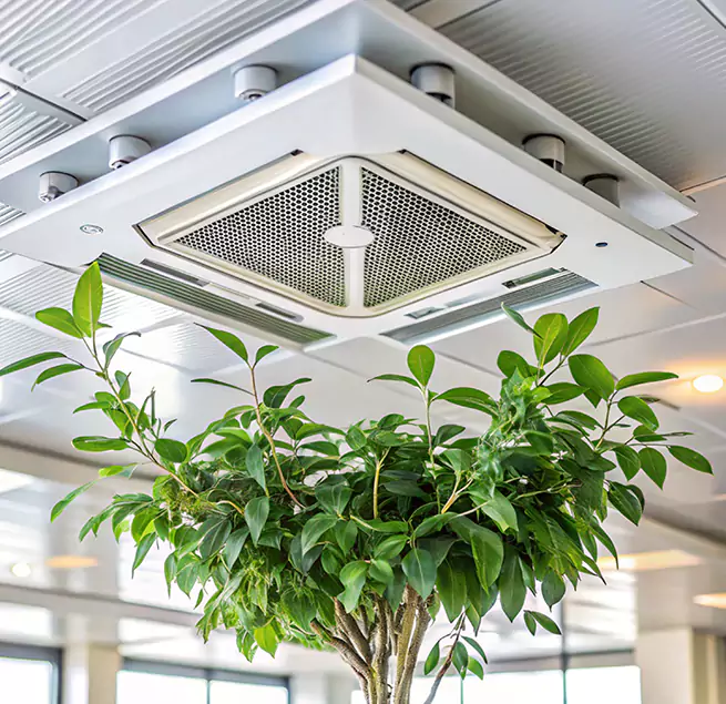 Why Homeowners & Businesses Trust Us in San Luis Obispo, CA