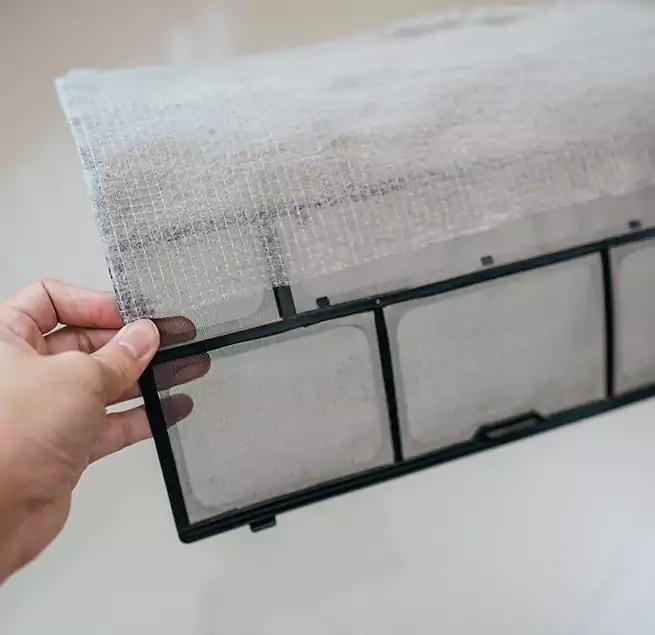 Why Homeowners & Businesses Trust Us in San Luis Obispo, CA?