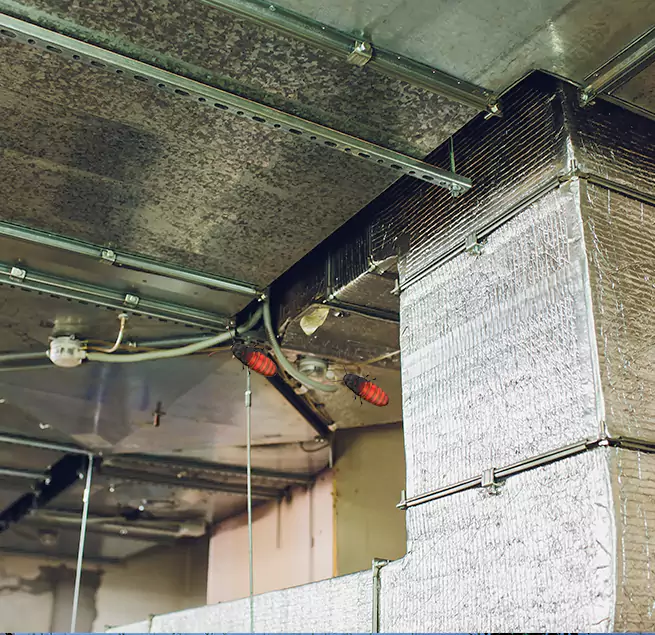 Why Homeowners & Businesses Trust Us San Luis Obispo, CA?