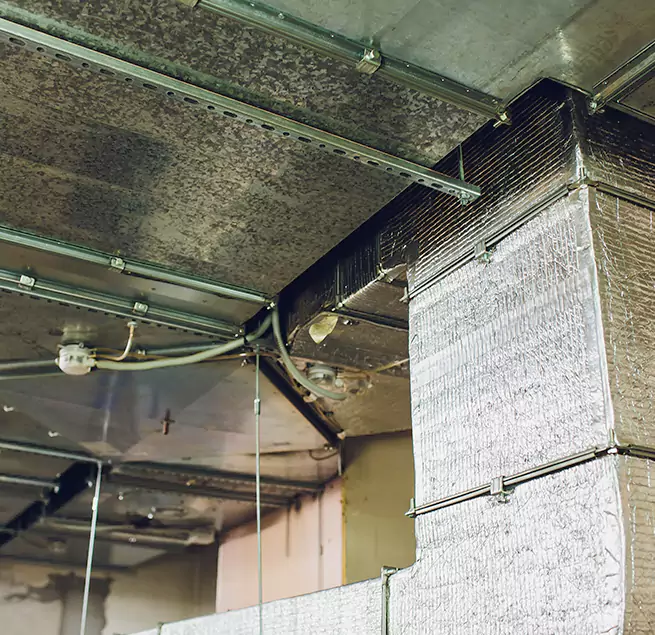 Why Homeowners & Businesses Trust Us in San Luis Obispo, CA?